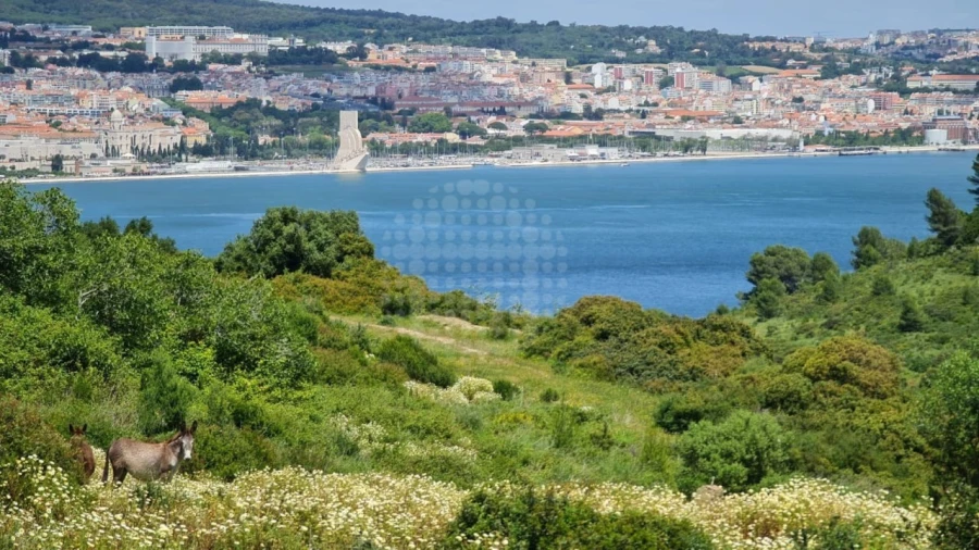 Moradia T5 para Venda em Caparica e Trafaria Foto 36