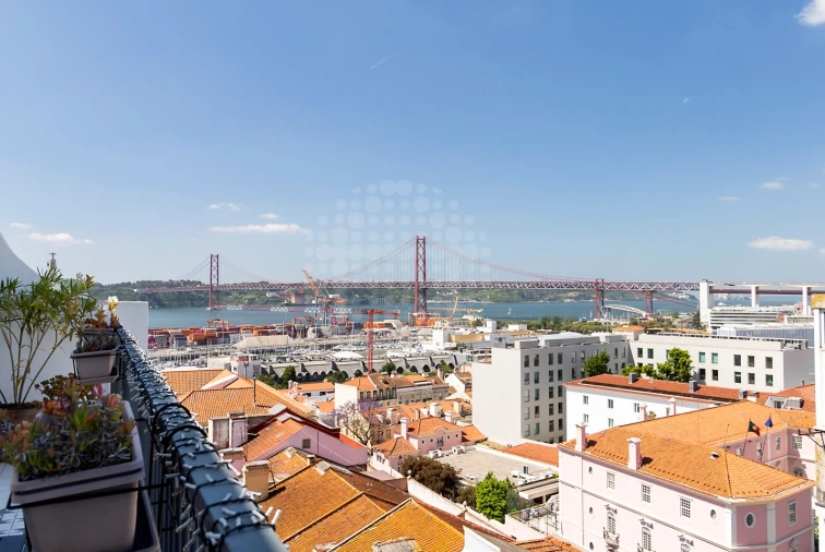 Apartamento T5 para Venda em Estrela Foto 2