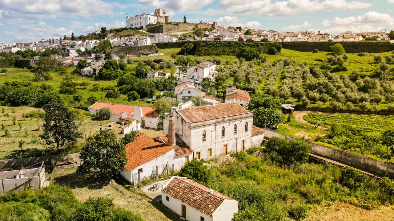 Quinta T10 para Venda em Estremoz (Santa Maria e Santo André) Foto 2