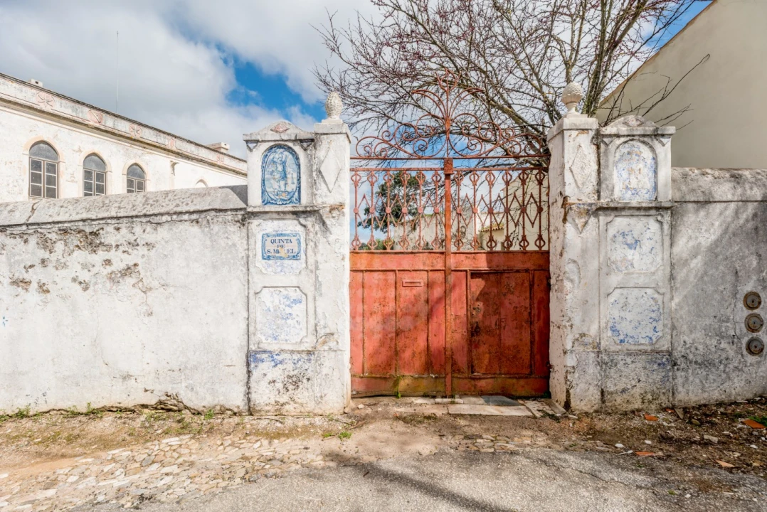 Quinta T10 para Venda em Estremoz (Santa Maria e Santo André) Foto 3