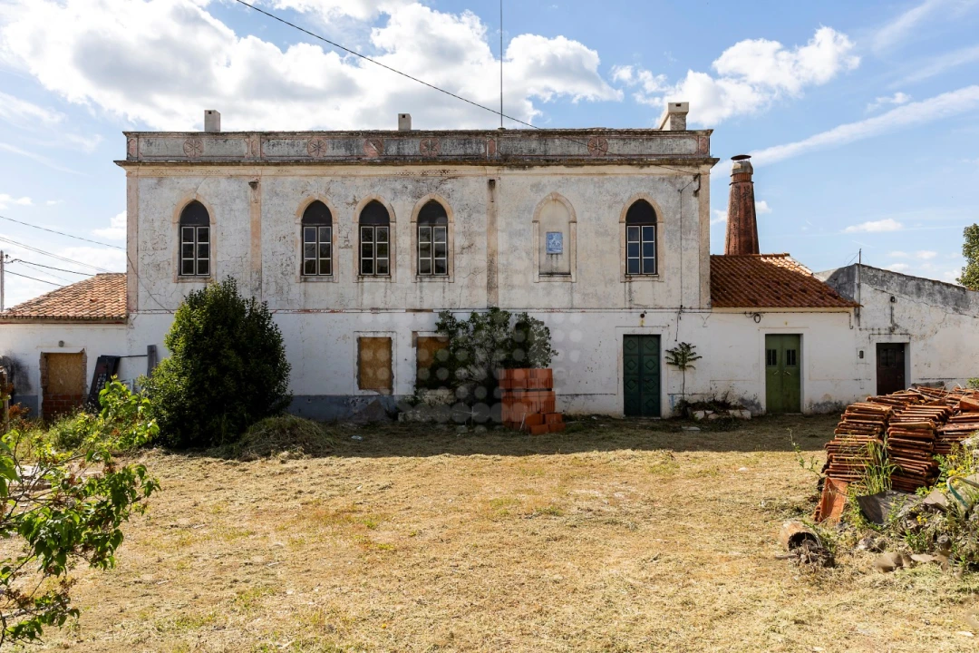 Quinta T10 para Venda em Estremoz (Santa Maria e Santo André) Foto 4