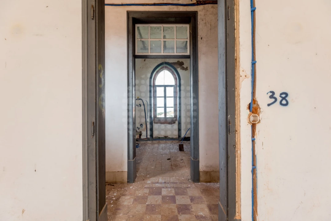 Quinta T10 para Venda em Estremoz (Santa Maria e Santo André) Foto 7