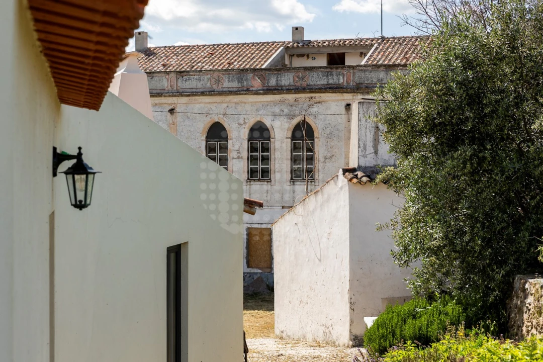Quinta T10 para Venda em Estremoz (Santa Maria e Santo André) Foto 11
