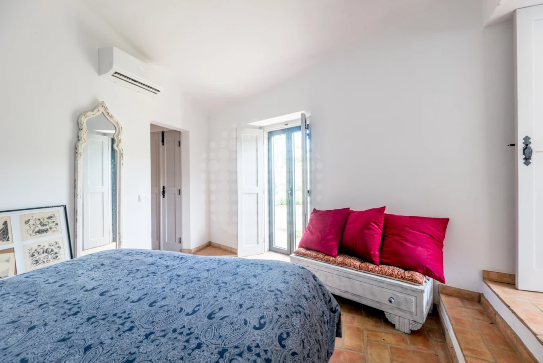 Quinta T10 para Venda em Estremoz (Santa Maria e Santo André) Foto 18