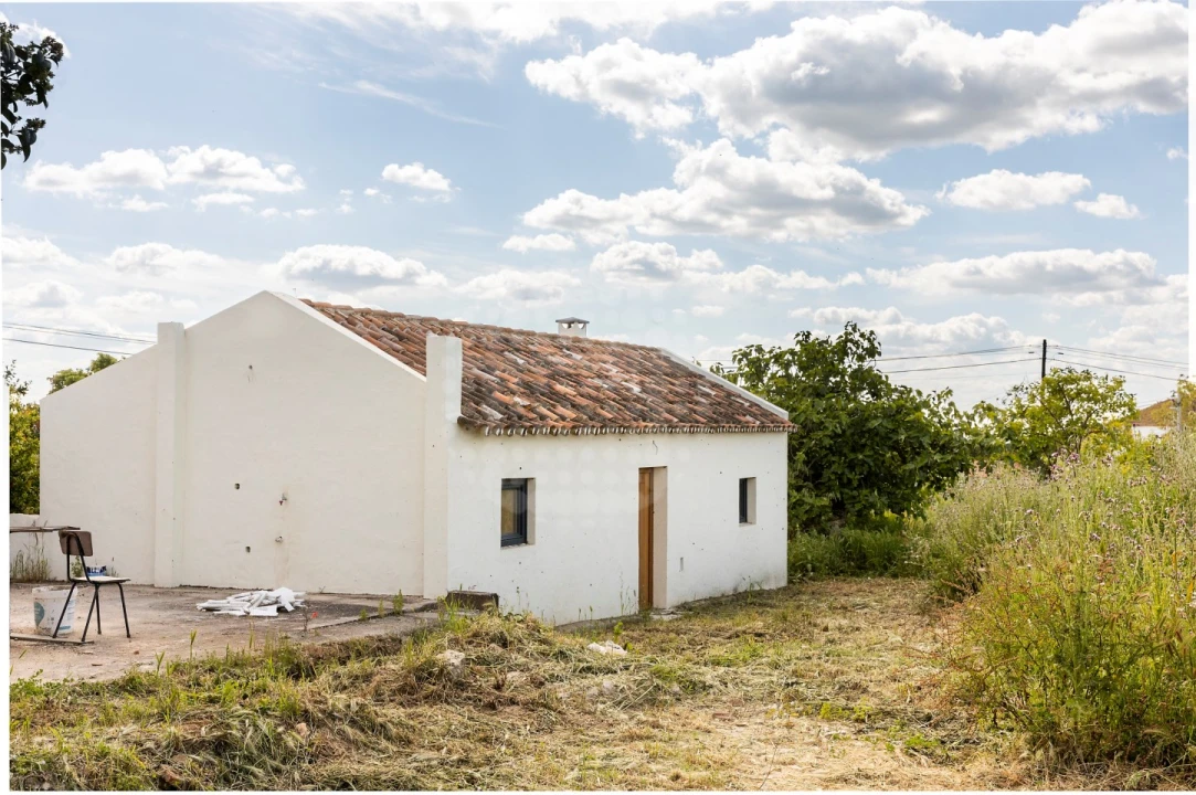Quinta T10 para Venda em Estremoz (Santa Maria e Santo André) Foto 22