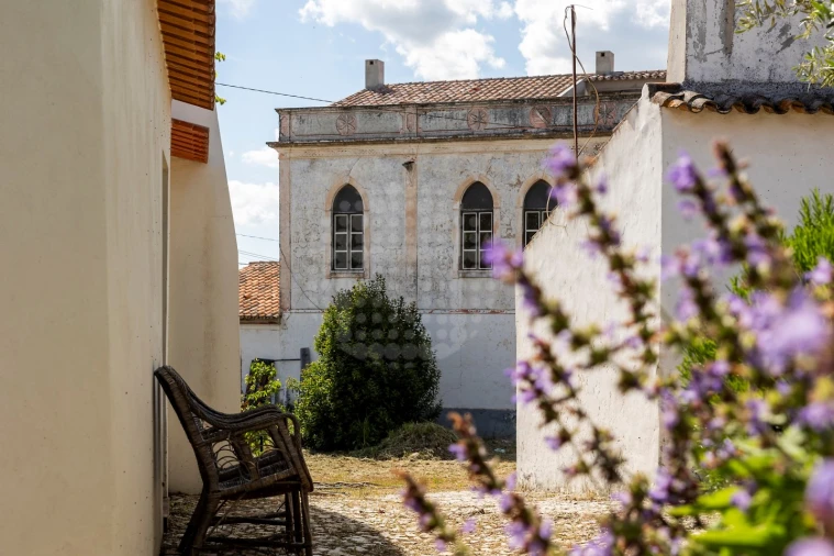 Quinta T10 para Venda em Estremoz (Santa Maria e Santo André) Foto 5