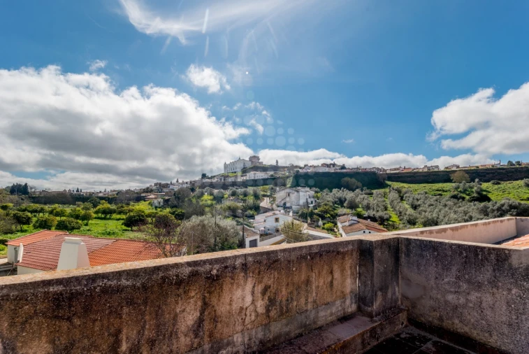 Quinta T10 para Venda em Estremoz (Santa Maria e Santo André) Foto 9