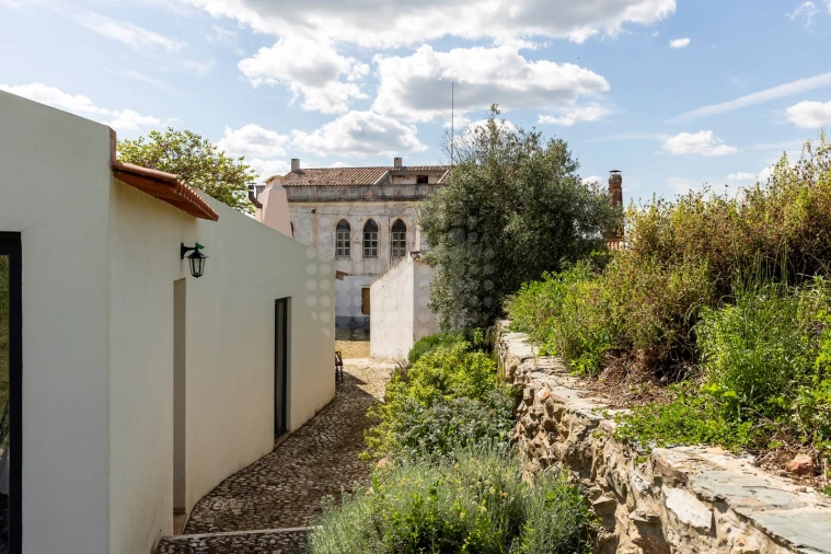 Quinta T10 para Venda em Estremoz (Santa Maria e Santo André) Foto 12