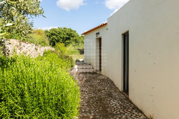 Quinta T10 para Venda em Estremoz (Santa Maria e Santo André) Foto 13