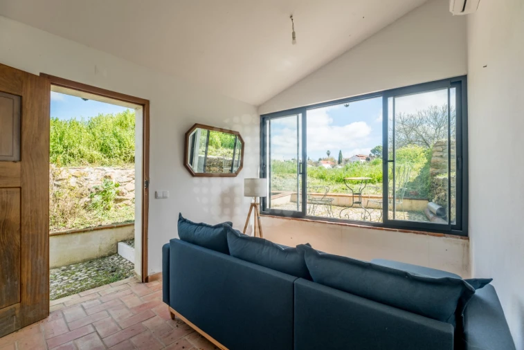 Quinta T10 para Venda em Estremoz (Santa Maria e Santo André) Foto 17