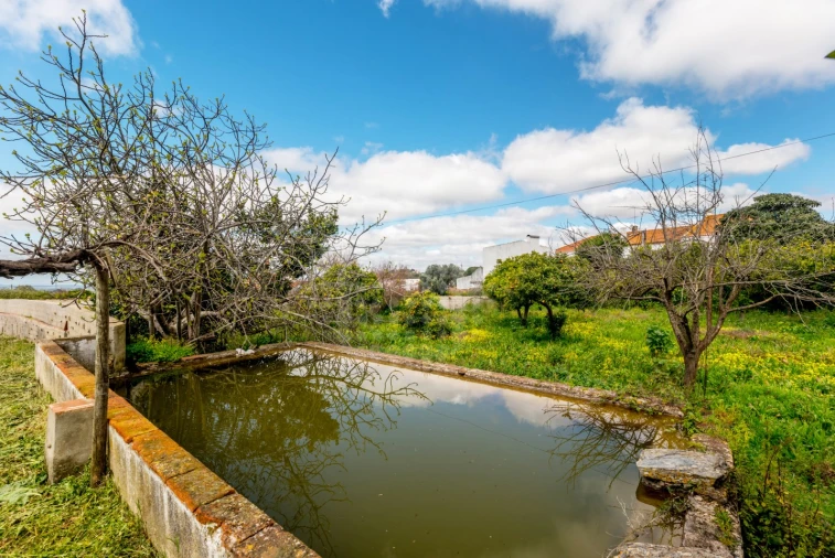 Quinta T10 para Venda em Estremoz (Santa Maria e Santo André) Foto 25