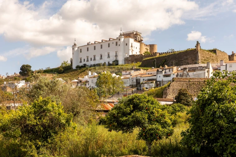 Quinta T10 para Venda em Estremoz (Santa Maria e Santo André) Foto 27
