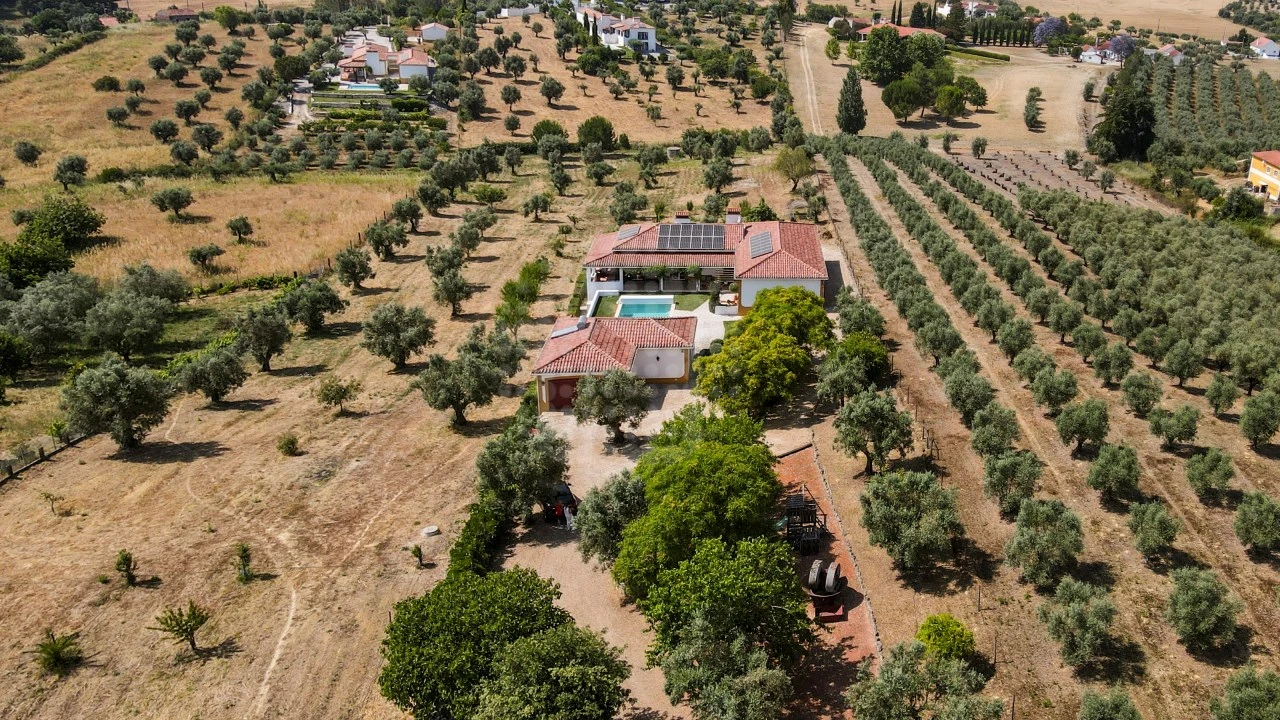 Quinta T4 para Venda em São Vicente do Paul e Vale de Figueira Foto 5