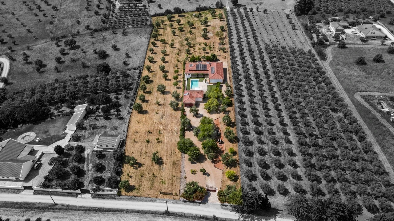 Quinta T4 para Venda em São Vicente do Paul e Vale de Figueira Foto 32