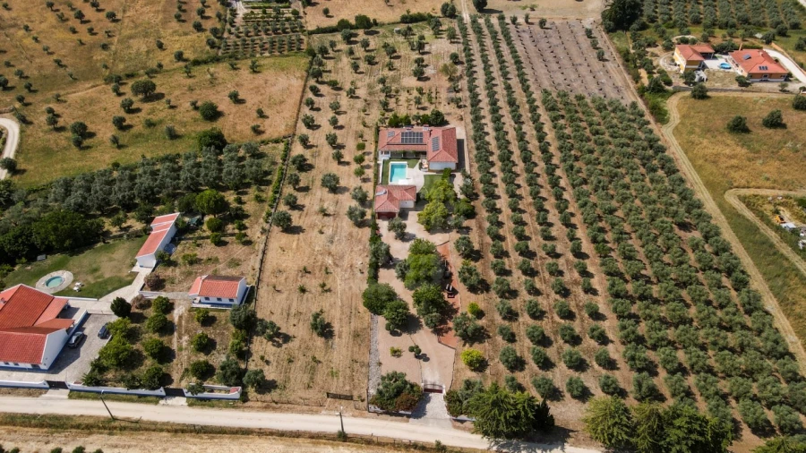 Quinta T4 para Venda em São Vicente do Paul e Vale de Figueira Foto 4