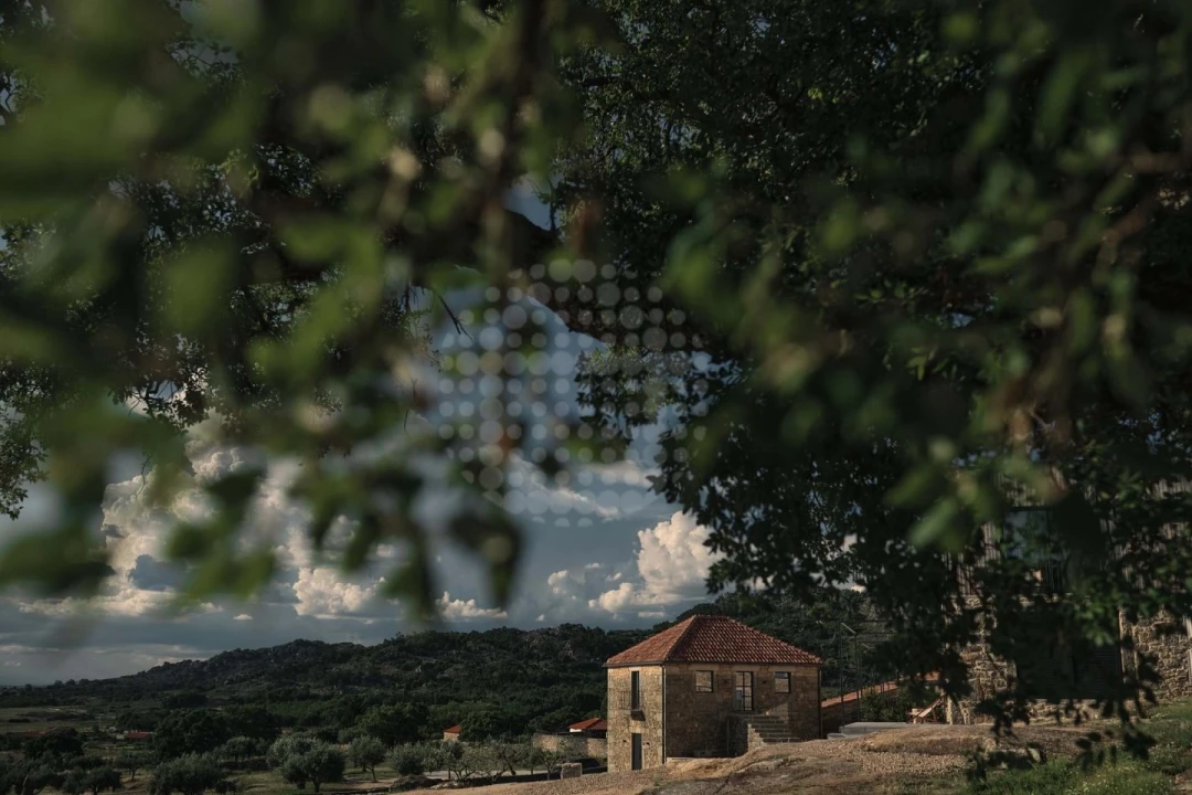 Quinta T10 para Venda em Monsanto e Idanha-A-Velha Foto 29