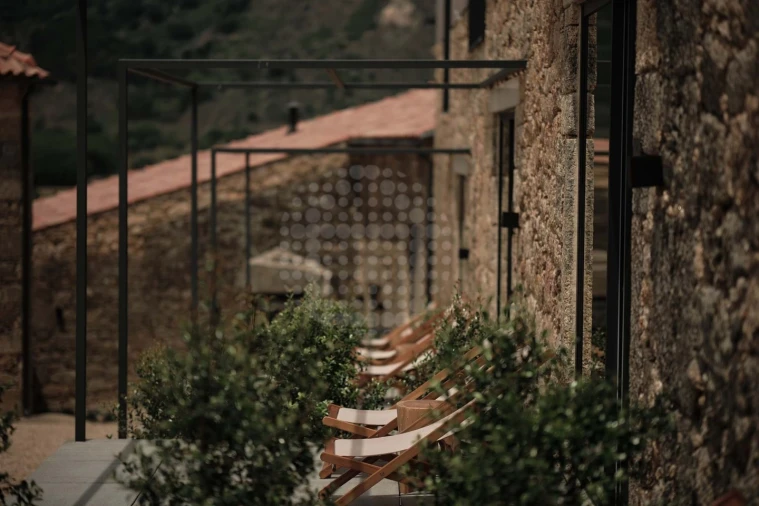 Quinta T10 para Venda em Monsanto e Idanha-A-Velha Foto 14