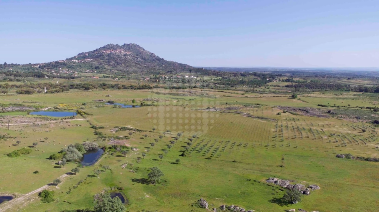 Quinta para Venda em Monsanto e Idanha-A-Velha Foto 3