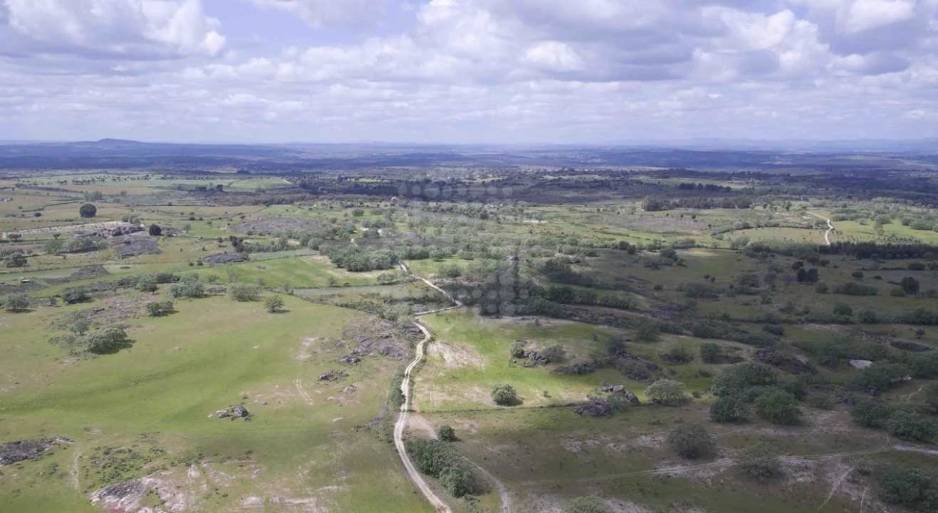 Quinta para Venda em Monsanto e Idanha-A-Velha Foto 5