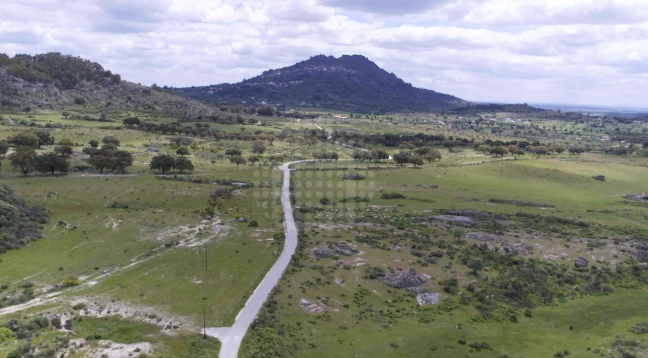Quinta para Venda em Monsanto e Idanha-A-Velha Foto 6