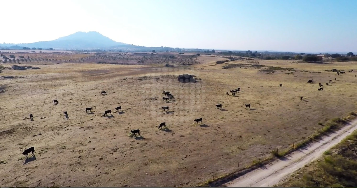Quinta para Venda em Monsanto e Idanha-A-Velha Foto 8