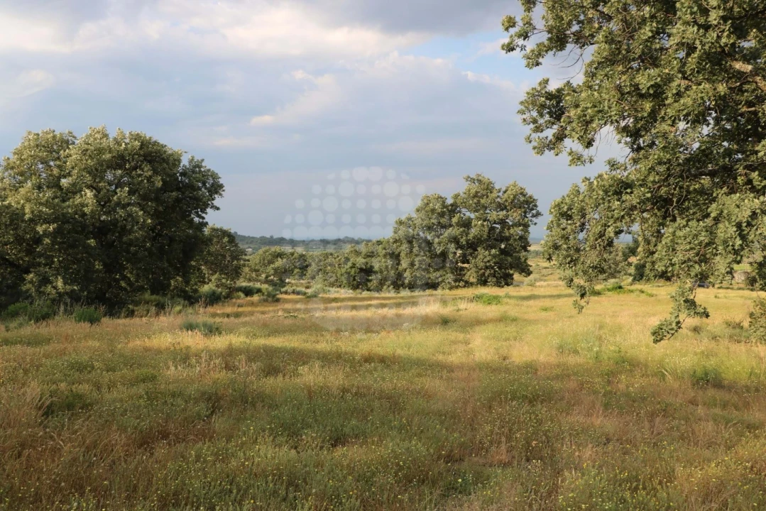 Quinta para Venda em Monsanto e Idanha-A-Velha Foto 15