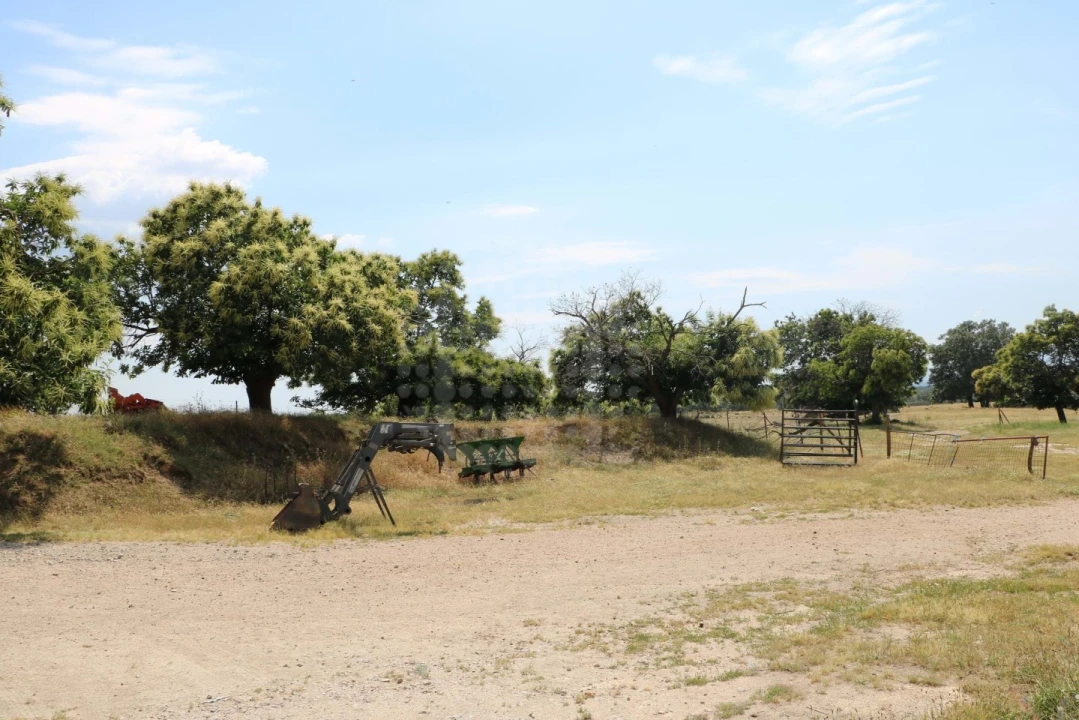Quinta para Venda em Monsanto e Idanha-A-Velha Foto 21