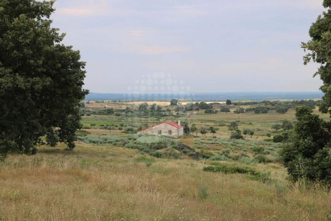 Quinta para Venda em Monsanto e Idanha-A-Velha Foto 22