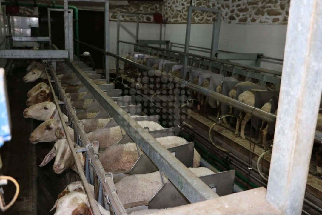 Quinta para Venda em Monsanto e Idanha-A-Velha Foto 25