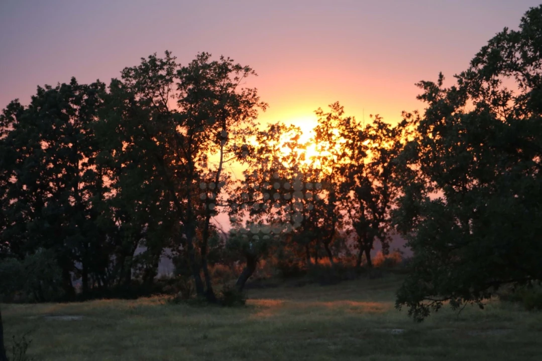 Quinta para Venda em Monsanto e Idanha-A-Velha Foto 27