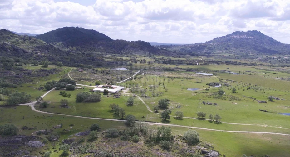 Quinta para Venda em Monsanto e Idanha-A-Velha Foto 2