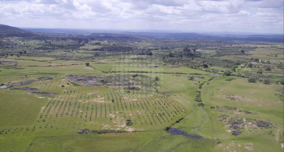 Quinta para Venda em Monsanto e Idanha-A-Velha Foto 4
