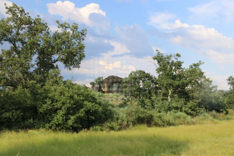 Quinta para Venda em Monsanto e Idanha-A-Velha Foto 14