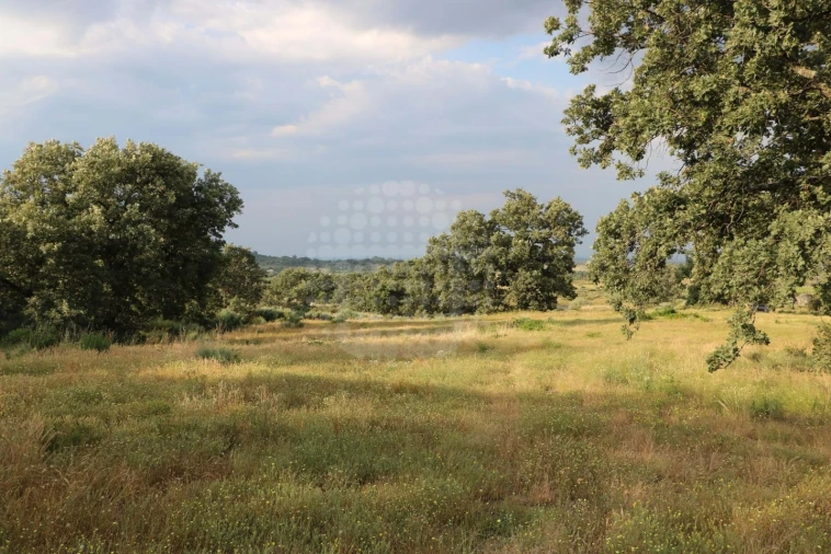 Quinta para Venda em Monsanto e Idanha-A-Velha Foto 15