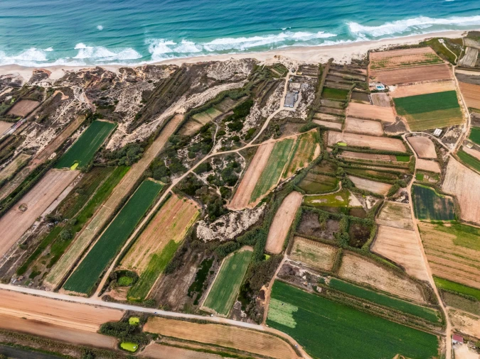 Terreno para Venda em Ferrel Foto 4