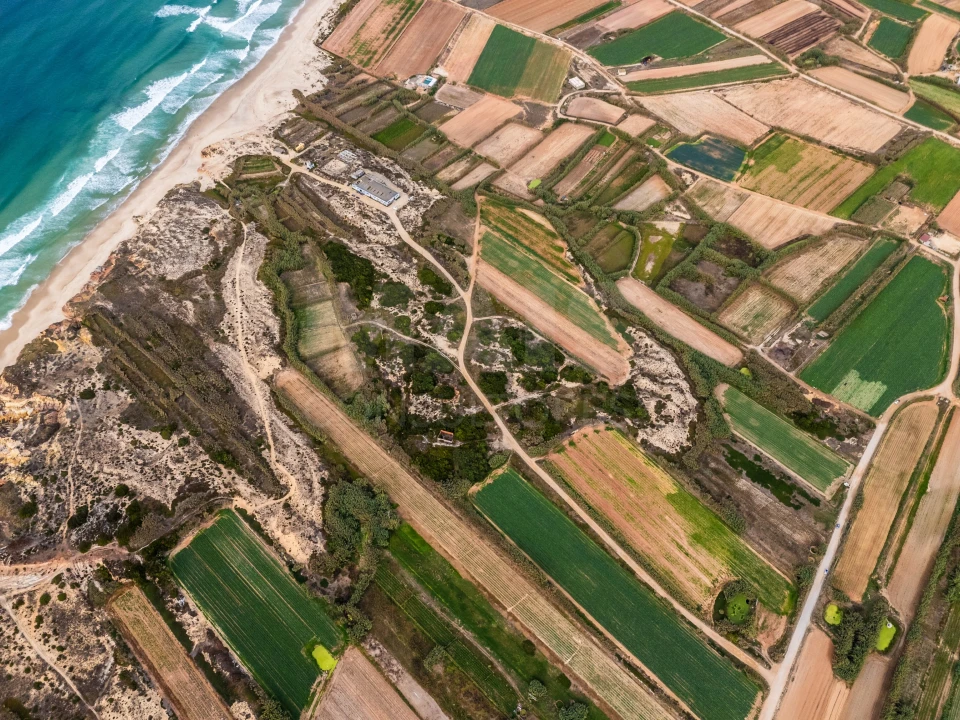 Terreno para Venda em Ferrel Foto 6