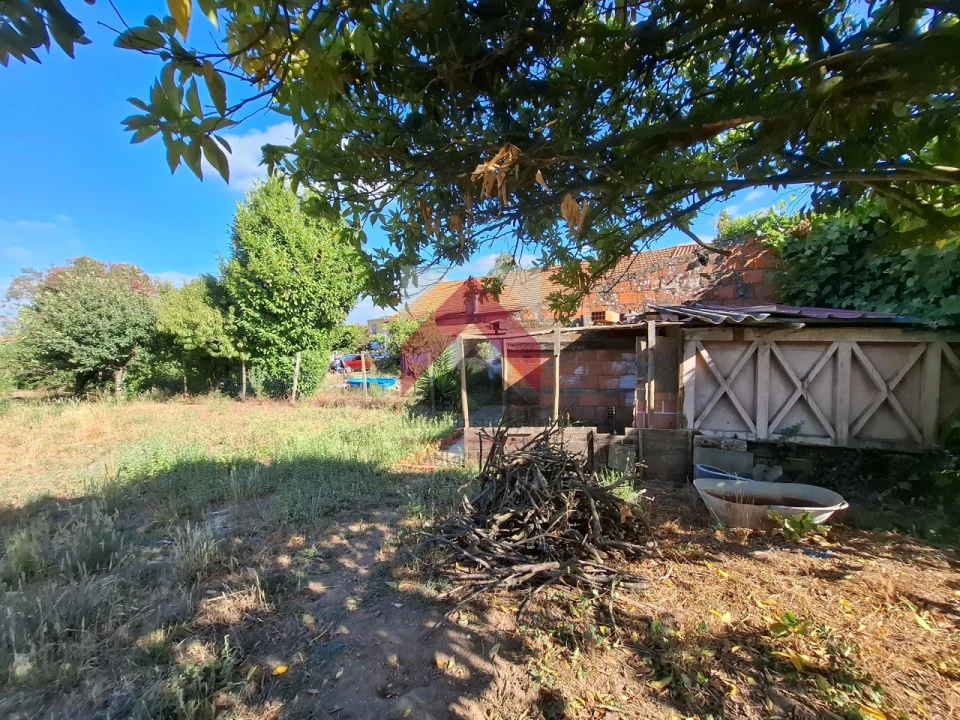 Moradia T4 para Venda em Bustos, Troviscal e Mamarrosa Foto 52