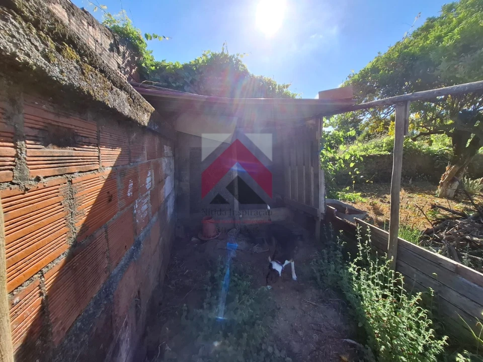 Moradia T4 para Venda em Bustos, Troviscal e Mamarrosa Foto 54