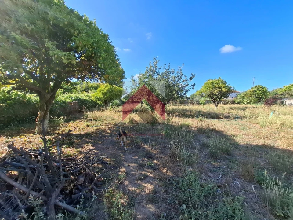 Moradia T4 para Venda em Bustos, Troviscal e Mamarrosa Foto 55