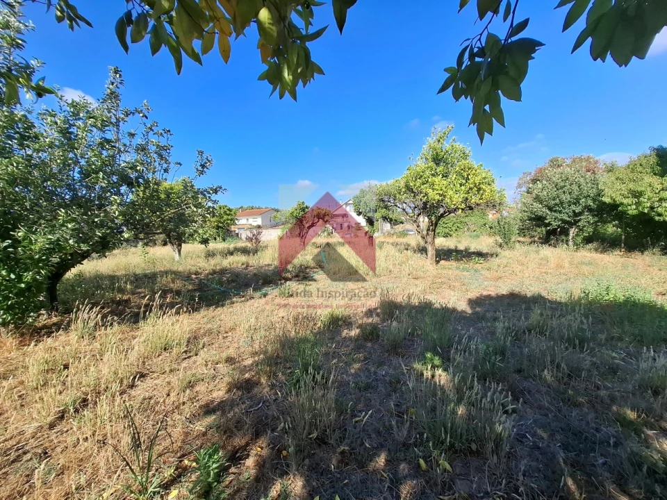 Moradia T4 para Venda em Bustos, Troviscal e Mamarrosa Foto 56