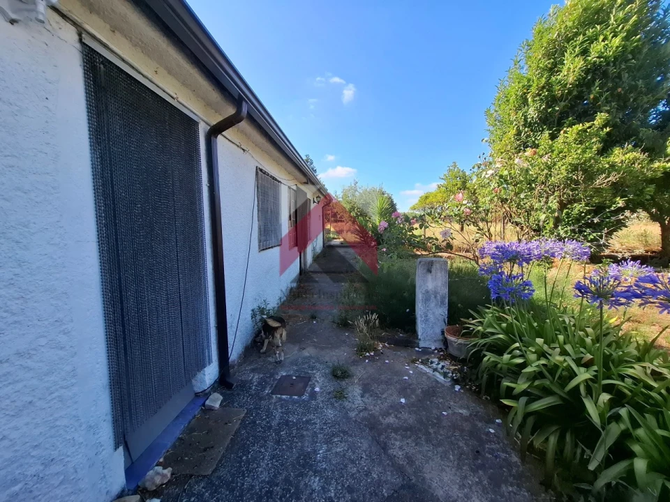 Moradia T4 para Venda em Bustos, Troviscal e Mamarrosa Foto 59