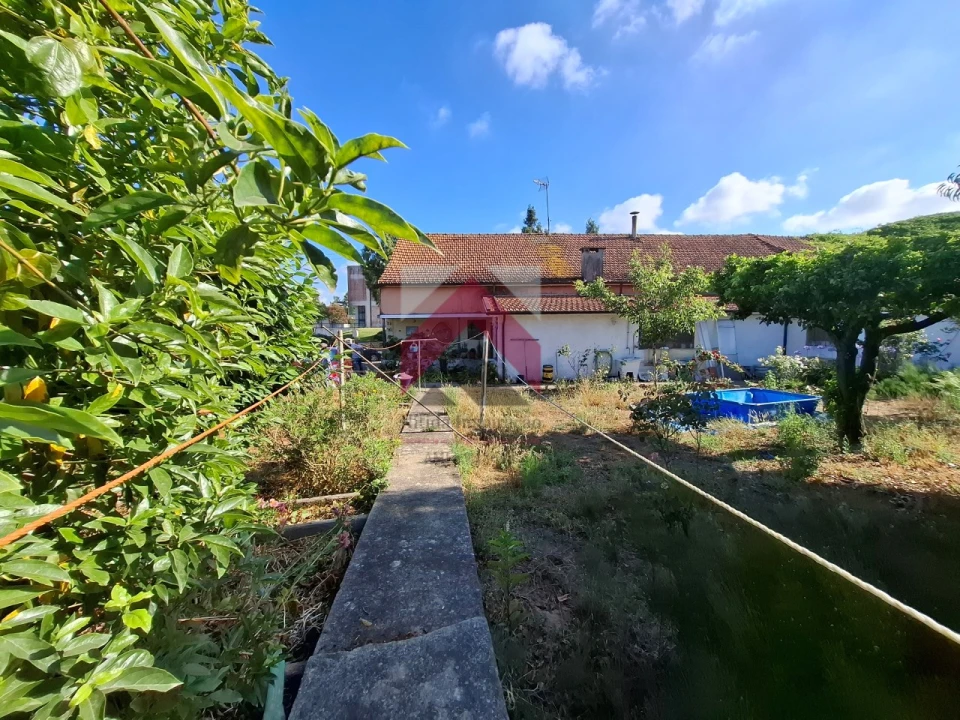 Moradia T4 para Venda em Bustos, Troviscal e Mamarrosa Foto 62