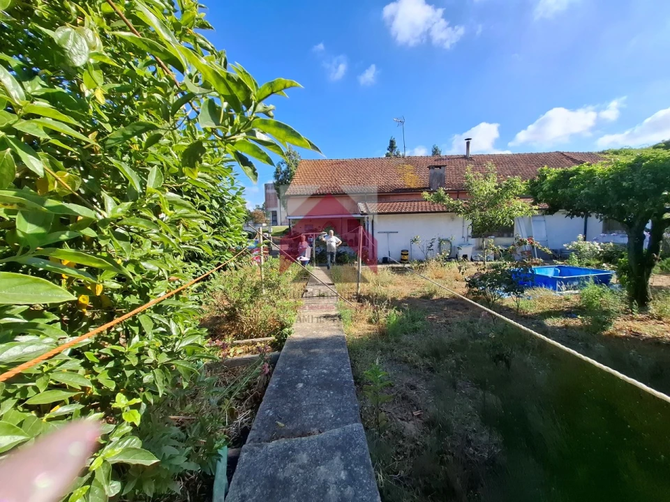 Moradia T4 para Venda em Bustos, Troviscal e Mamarrosa Foto 63