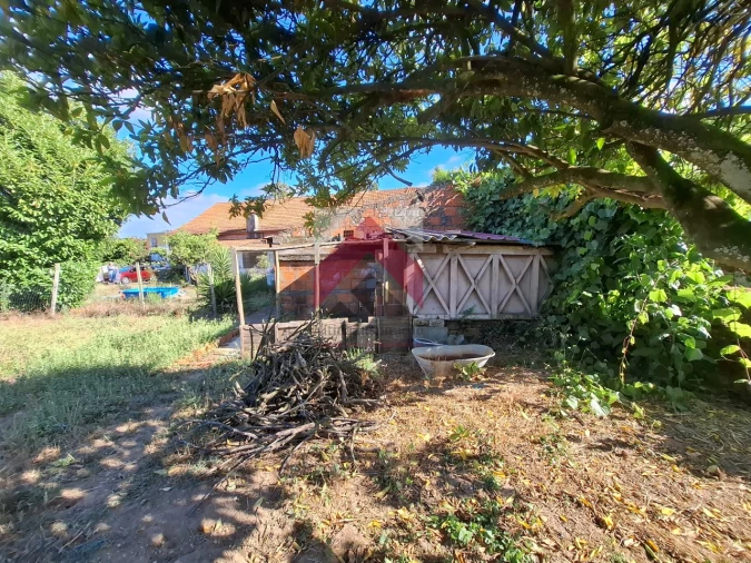 Moradia T4 para Venda em Bustos, Troviscal e Mamarrosa Foto 51