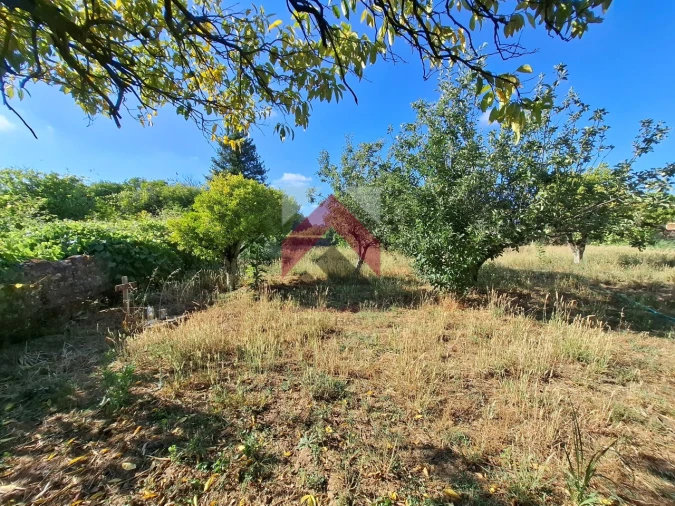 Moradia T4 para Venda em Bustos, Troviscal e Mamarrosa Foto 53