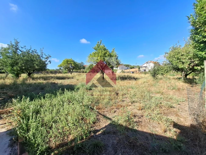 Moradia T4 para Venda em Bustos, Troviscal e Mamarrosa Foto 58