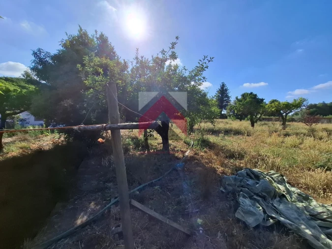 Moradia T4 para Venda em Bustos, Troviscal e Mamarrosa Foto 64