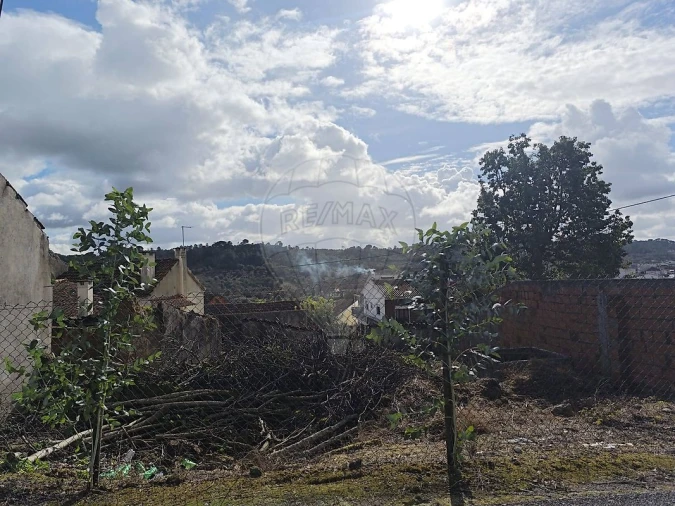Terreno para Venda em Arneiro das Milhariças Foto 11