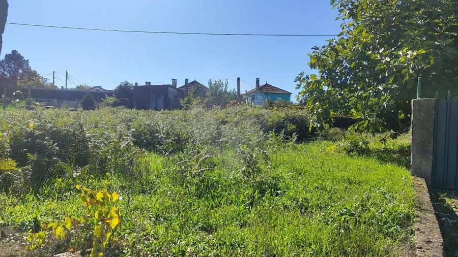 Terreno para Venda em Macieira de Cambra Foto 11