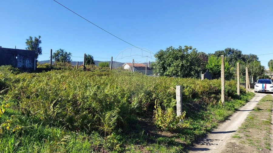 Terreno para Venda em Macieira de Cambra Foto 4